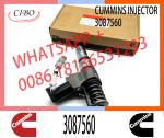 N14 Series Engine Common Rail Fuel Injector 4307516 3411691 3087560 3411765 For