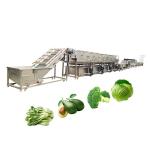 Commercial Vegetable Washing Machine And Sustainable Cleaning Restaurant Food