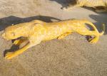 Decorative Fiberglass Animal Statues Customized Fiberglass Leopard Sculpture