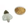 Buy cheap Organic Dictyophora Indusiata Extract from wholesalers