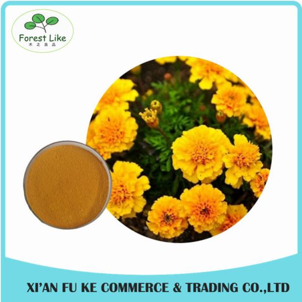 Buy cheap Eye Health Product Marigold Powder Extract Lutein 5 % - 90 % from wholesalers