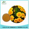 Buy cheap Eye Health Product Marigold Powder Extract Lutein 5 % - 90 % from wholesalers