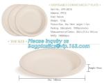 9inch Round White Dessert Bagasse Sugarcane Biodegradable Corn Starch Disposable