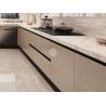 Buy cheap Fadior Wood Grain Dual-Zone Design Stainless Steel Kitchen Cabinet from wholesalers