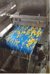 Automatic Chocolate Food Bar Granule Spreading Machine 304 Stainless Steel