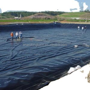 Smooth Geomembrane Roughened Geomembrane Composite Geomembrane 1mm 2mm for