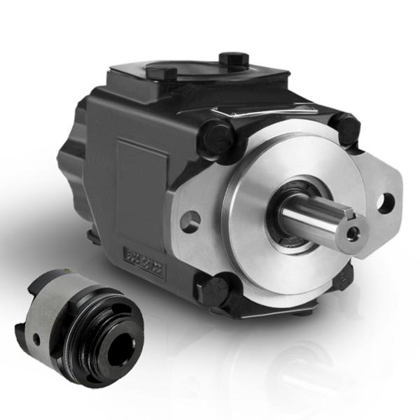 Buy cheap T6C T6D T6E Pump Spare Parts , Denison Hydraulic Pump Replacement Parts from wholesalers