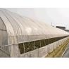 Buy cheap Agriculture Small Tunnel Greenhouse Anti Fog With Huge Roof / Side Ventilation from wholesalers