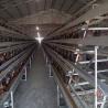 Buy cheap 160 Birds Egg Layer Chicken Cage A Type Equipments For Poultry Farms from wholesalers