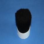 Tsingtao black boiled pig bristle 64mm for paint brushes