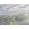 Buy cheap 150 Micorn Nylon Monofilament Fabric For Bag Lining from wholesalers