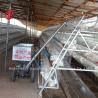 Buy cheap 96 120 128 160 Birds 3 Tier And 4 Tier Layer Battery Cage System For Sale In Lagos Nigeria Sandy from wholesalers