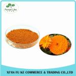 Eye Health Product Marigold Powder Extract Lutein 5 % - 20 %
