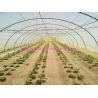 Buy cheap 1.67g/m Industrial Split Film Poly Baler Twine Raw White Color For Tomato Tree from wholesalers