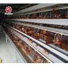 Buy cheap Big Door Size Hens Chicken Layer Battery Cage 90 Birds / Set from wholesalers
