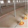 Buy cheap Complete Auto Broiler Poultry Farm System For Chicken Water from wholesalers