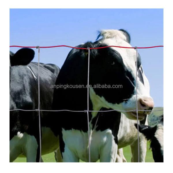 Buy cheap Powder Coated Cattle Fence for Agriculture Field Livestock Farm Hot Dipped Galvanized from wholesalers