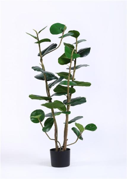 Buy cheap Public Area Artificial Garden Plants Polyscias Balfouriana Bailey 120cm 4 Ft from wholesalers