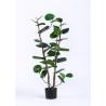 Buy cheap Public Area Artificial Garden Plants Polyscias Balfouriana Bailey 120cm 4 Ft from wholesalers