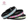 Buy cheap C903 New Pet Product Fashion Safety Nylon USB Rechargeable Led Dog Collars in darkness from wholesalers