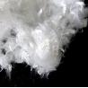Buy cheap Polyester Short Cut Fiber White Color For Clothing / Bedding / Furniture Filling from wholesalers