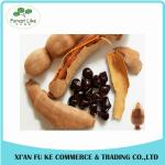 Water Soluble More Nutrition Hot Sale Tamarind Seed Extract