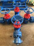 WKM Valve Type Wellhead Christmas Tree 3 1/8"-5000psi Blue And Red Painted