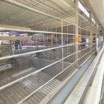 Q235 Bridge Steel Poultry Egg Collection System ISO9001 SONCAP Listed