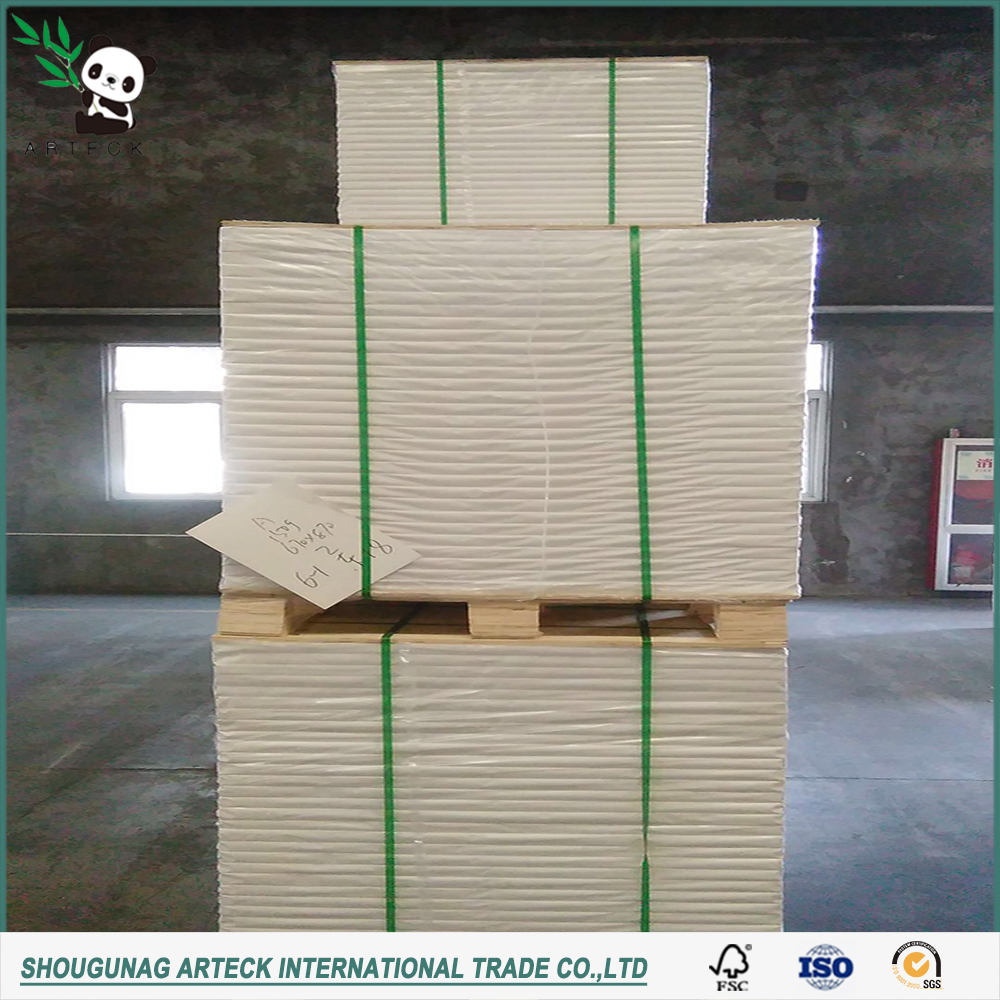 Other Gift Craft PE Coating Material Ivory Board/FBB/C1S/GC1/Folding Box Board 250g 300g