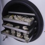 Freeze Dryer Vacuum Biological Lyophilization For Food Vegetable Meat Candy