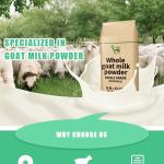 All Age Whole Raw Goat Milk Powder 45% Fat Bakery Products Ingredient