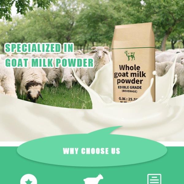 Quality Full Fat Cream Raw Goat Milk Powder For Food Additive 25kg for sale
