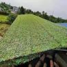 Buy cheap Customized high quality camouflage net waterproof and flame retardant woodland camouflage net military from wholesalers