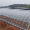 Buy cheap 1209cm * 235cm * 239cm Film Greenhouse for Shading and Ventilation of Tomato Planting from wholesalers