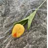 Buy cheap Indoor Faux Single Branch Pvc Soft Feeling Plastic Artificial Real Touch Tulip Flowers from wholesalers