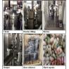 Buy cheap Customized Mini Auto Powder Capsules Filling Machine For small Business from wholesalers