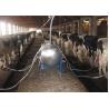 Buy cheap Pipeline Cow / Goat Milking Parlor With A Milk Transport Conduit from wholesalers