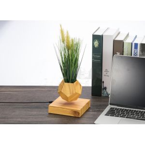 Buy cheap new magnetic levitate floating bottom air bonsai pot planter tree from wholesalers