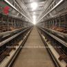 Buy cheap A Type Layer Chicken Battery Cage Full Automatic For Large Farm Adela from wholesalers