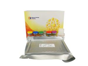 Wholesale High Sensitive Sandwich Vegf Elisa Kit 2.48ng / L Sensitivity 96 Wells from china suppliers