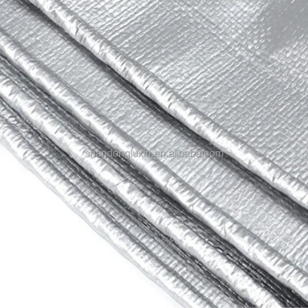Sliver/Black Polyethylene Plastic Cover Tarpaulin for Heavy Duty Outdoor