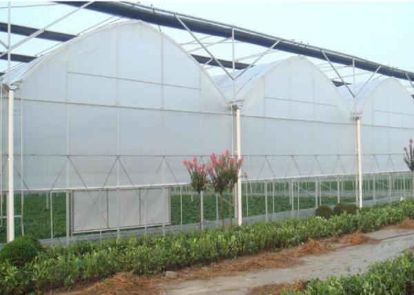 Buy cheap 80m - 150m Plastic Film Greenhouse , Multi Span Greenhouse For Planter from wholesalers