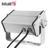 Buy cheap Outdoor Ip65 Waterproof Laser Sky 13W Firefly Projection Lamp Laser Light Star Light Projector from wholesalers