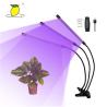 Buy cheap 60 Pcs LED Seedling Hydroponic Full Spectrum Phyto Lamp from wholesalers