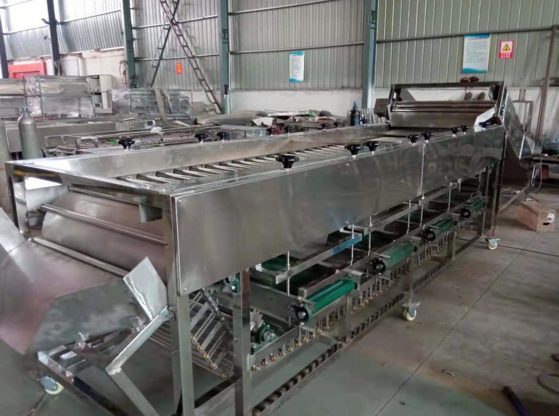 potato grading machine, potato sorting machine, potato sorter, potato grader