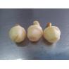 Buy cheap Frozen Arrowhead Slices(bell, pine cone, hexagon - shaped ) for food decoration from wholesalers