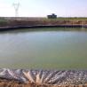 Buy cheap Online Technical Support Hdpe Geomembrane Dam Landfill Aquaculture Fish Farm Pond Liner from wholesalers
