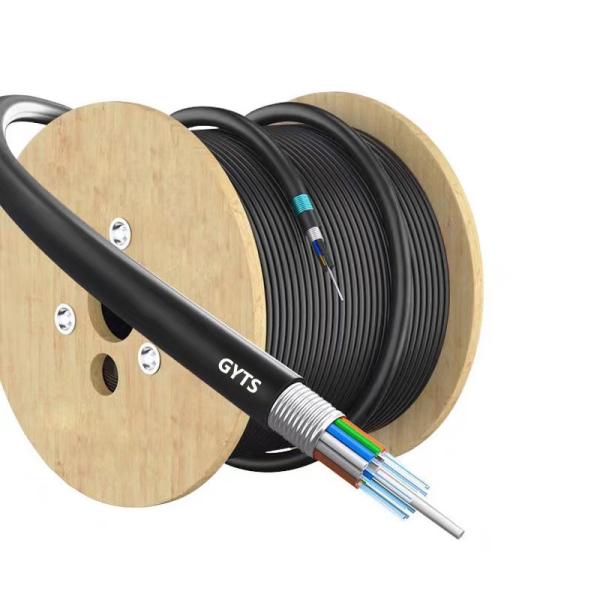 Direct Buried GYTA/GYXTW/GYTS/GYFTS Armored Fiber Optic Cable with Rodent Proof