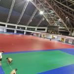Glue Down Installation Relle PVC 6mm Indoor Badminton Carpet Floorings Roll for