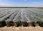 100% HDPE 4x50m Insect Mesh Netting For Greenhouse Nursery / Agricultural